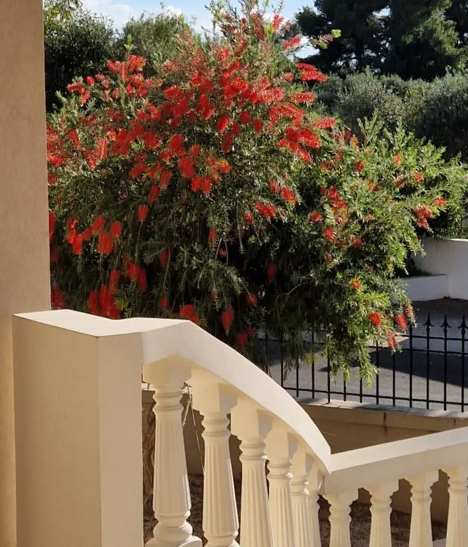 Villa Olivia à La Canée Grèce
